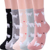 "Cute and Cozy Cat Socks - Perfect Gifts for Women who Love Animals!"