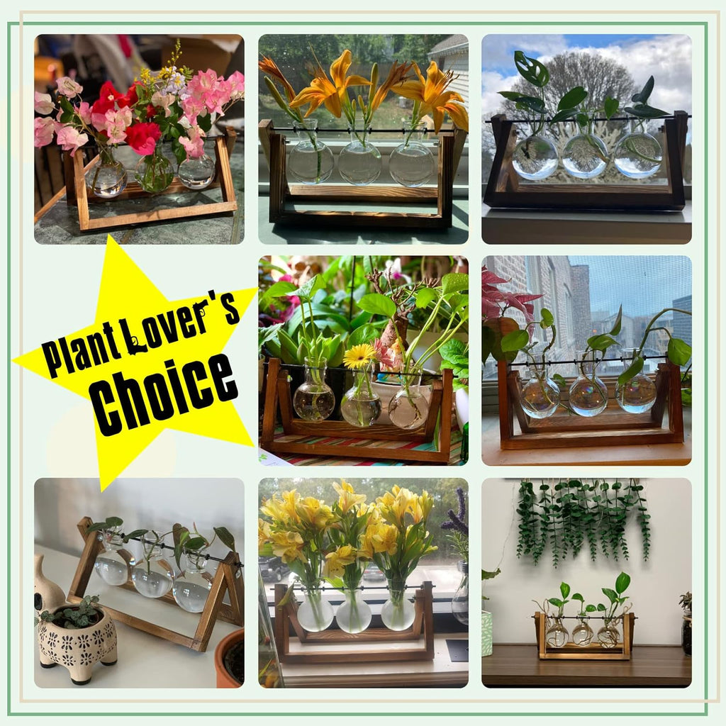 "Vintage Plant Terrarium Set with Swivel Holder - Stylish Air Planter Bulb Glass Vase on Wooden Stand for Home, Garden, and Office Decoration - Includes 3 Bulb Vases"