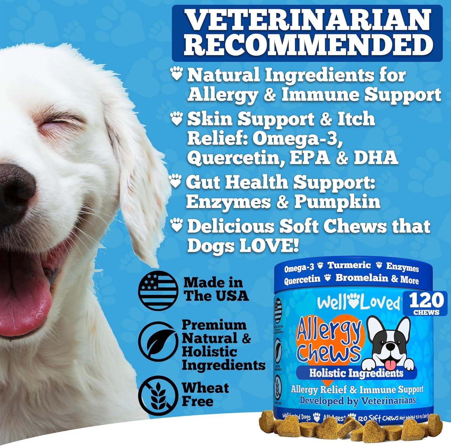 Well Loved Dog Allergy Chews - Dog Allergy Relief, Made in USA, Vet Developed, Hot Spot Treatment for Dogs, Dog Itch Relief, anti Itch for Dogs, Dog Vitamins, Dog Skin Allergies Treatment, 120 Count