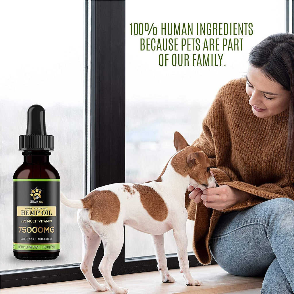 Billion Pets - Hemp Oil for Dogs and Cats - Hemp Oil Drops with Omega Fatty Acids - Hip and Joint Support and Skin Health - Anxiety and Stress - Pain