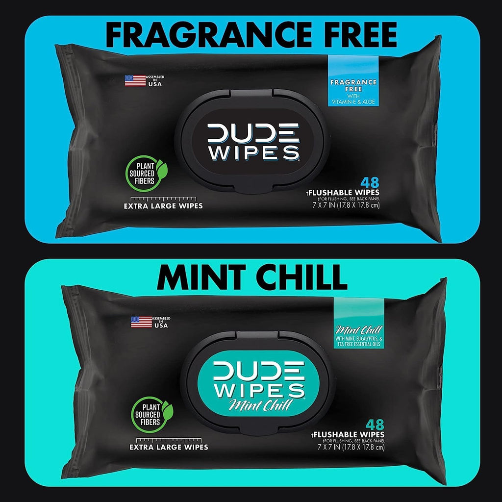 DUDE Wipes Flushable Wipes - 12 Pack, 576 Wipes - Unscented & Mint Chill Combo, Extra-Large Wet Wipes with Vitamin-E & Aloe for At-Home Use - Septic and Sewer Safe