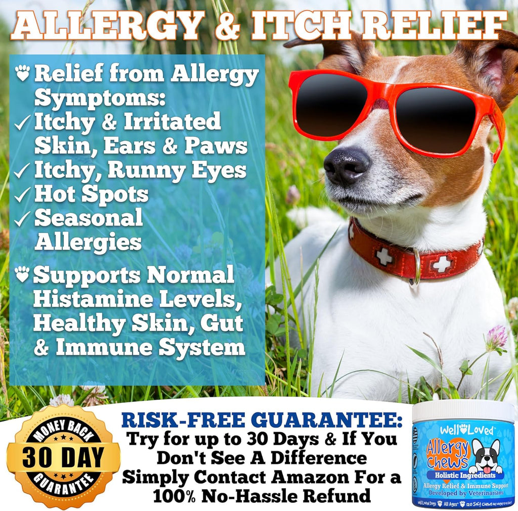 Well Loved Dog Allergy Chews - Dog Allergy Relief, Made in USA, Vet Developed, Hot Spot Treatment for Dogs, Dog Itch Relief, anti Itch for Dogs, Dog Vitamins, Dog Skin Allergies Treatment, 120 Count
