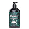 Ballsy Ballwash Charcoal Body Wash for Men - Moisturizing Men’S Bodywash with Coconut Oil – Natural Soap for Men & Great for Your Most Intimate Areas, 16 Oz with Pump