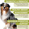 Wholistic Pet Organics: Dog Probiotics and Digestive Enzymes Powder - 4 Oz - Dog Digestive Support Supplement Prevents Upset Stomach Gut Health - Digest All Probiotics for Dogs and Cats Stool