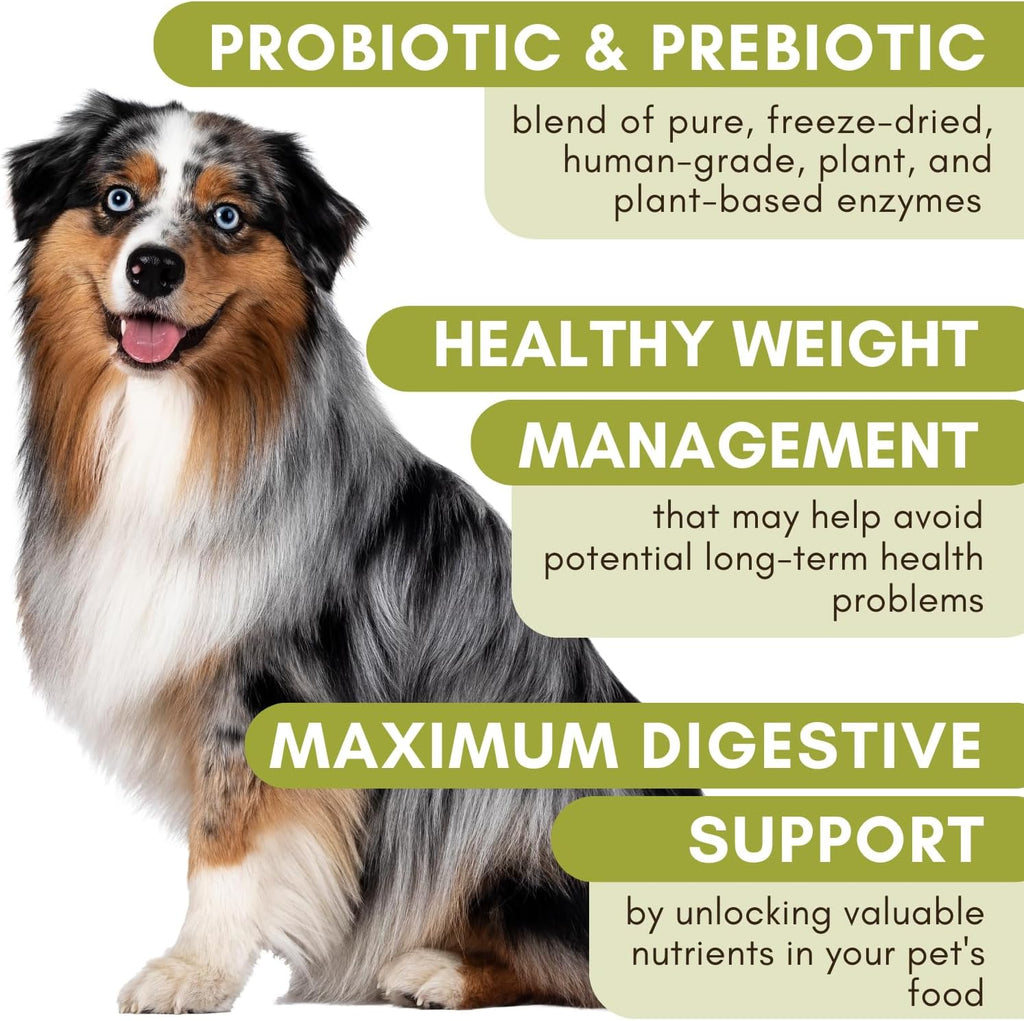 Wholistic Pet Organics: Dog Probiotics and Digestive Enzymes Powder - 4 Oz - Dog Digestive Support Supplement Prevents Upset Stomach Gut Health - Digest All Probiotics for Dogs and Cats Stool