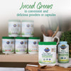 Garden of Life Raw Organic Perfect Food Green Superfood Juiced Greens Powder - Original Stevia-Free, 30 Servings, Non-Gmo, Gluten Free Whole Food Dietary Supplement, Alkalize, Detoxify, Energize