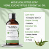 Pure Natural Eucalyptus Essential Oil Therapeutic Grade Essential Oils for Aromatherapy Mint Lemon Tea Tree Lemongrass Rosemary