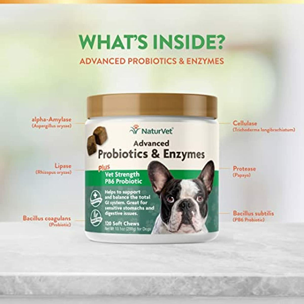 NaturVet – Advanced Probiotics & Enzymes - Plus Vet Strength PB6 Probiotic | Supports and Balances Pets with Sensitive Stomachs & Digestive Issues | for Dogs & Cats