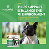 NaturVet – Advanced Probiotics & Enzymes - Plus Vet Strength PB6 Probiotic | Supports and Balances Pets with Sensitive Stomachs & Digestive Issues | for Dogs & Cats