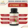 Berberine Supplement 4700mg - 5 Months Supply - High Potency with Ceylon Cinnamon, Turmeric - Supports Immune System, Cardiovascular & Gastrointestinal Function - Berberine HCl Supplement Pills