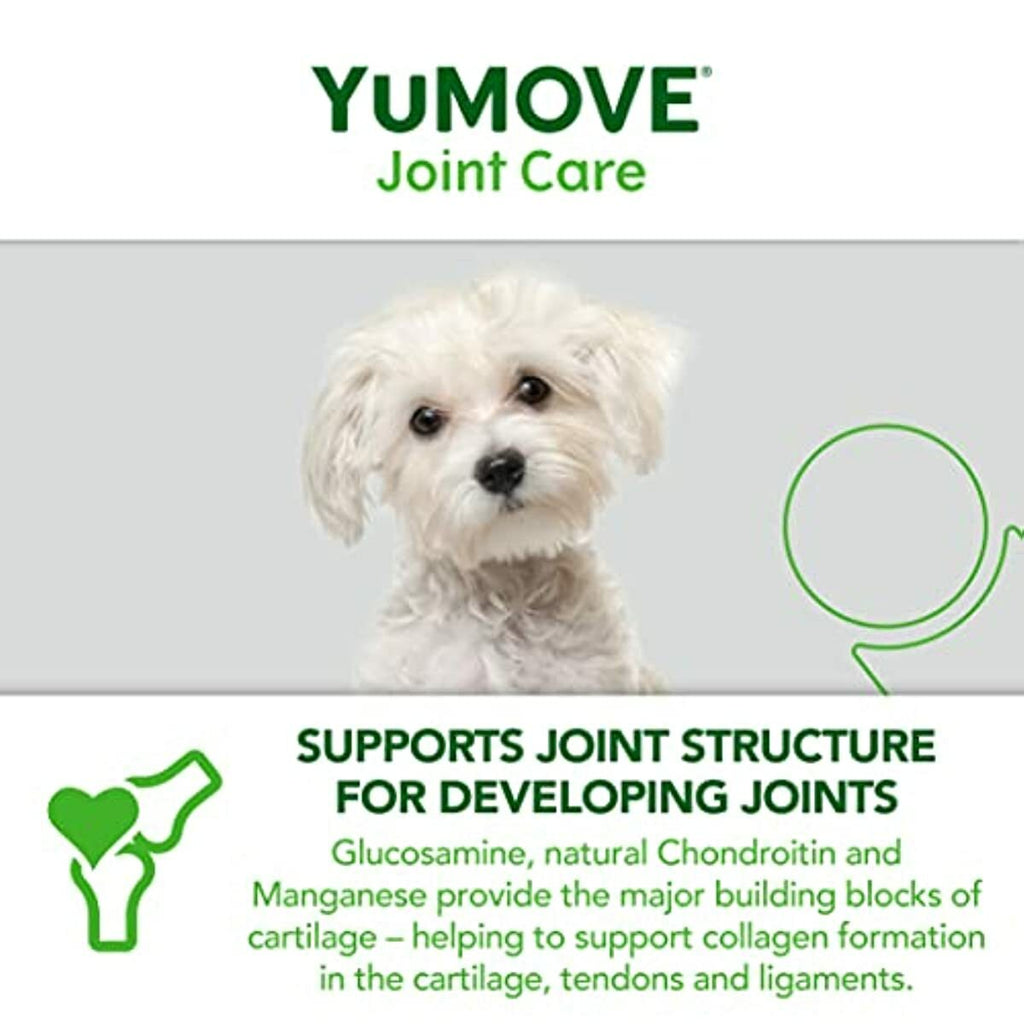 YuMOVE Young & Active Dog Tablets | Hip and Joint Supplement for Dogs with Glucosamine, Chondroitin, Hyaluronic Acid, Green Lipped Mussel| Dogs Aged Under 6 | 60 tablets