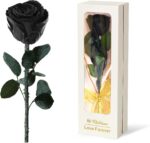 "Rainbow Rose Flower Gift Set: Perfect Mom Birthday & Christmas Present for Women - Ideal Gifts from Daughter, Son, and Grandchildren - Celebrate Mom, Wife, Grandma, and Anniversary with this Special Gift for Her!"