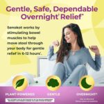 "Senokot Laxative Gummies - Natural Senna Extract, Gentle Overnight Relief from Occasional Constipation, Mixed Berry Flavor, 60 Count"