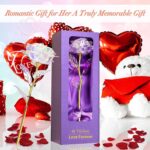 "Rainbow Rose Flower Gift Set: Perfect Mom Birthday & Christmas Present for Women - Ideal Gifts from Daughter, Son, and Grandchildren - Celebrate Mom, Wife, Grandma, and Anniversary with this Special Gift for Her!"