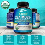 Organic Irish Sea Moss 1600Mg, 120 Capsules plus Bladderwrack & Burdock - Prebiotic Super Food - Immune System & Digestive Health - Thyroid, Healthy Skin, Keto Detox, Gut, Joint Support