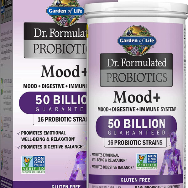 Garden of Life Dr. Formulated Probiotics Mood+ Acidophilus Probiotic Supplement - Promotes Emotional Well-Being, Relaxation and Digestive Balance - Ashwagandha for Stress Management, 60 Veggie Caps