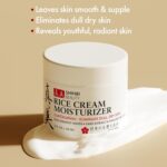 Shinbi Beauty Japanese Skincare Moisturizer for Face - Rice Cream with Rice Ferment + Sake Extract - J Beauty Natural Asian Skincare Products 2Oz