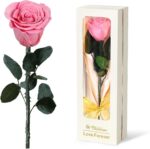 "Rainbow Rose Flower Gift Set: Perfect Mom Birthday & Christmas Present for Women - Ideal Gifts from Daughter, Son, and Grandchildren - Celebrate Mom, Wife, Grandma, and Anniversary with this Special Gift for Her!"