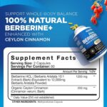 Premium Berberine HCL 1200Mg plus Organic Ceylon Cinnamon - 120 Capsules - Supports Immune System, Weight Management - Berberine HCI Supplement