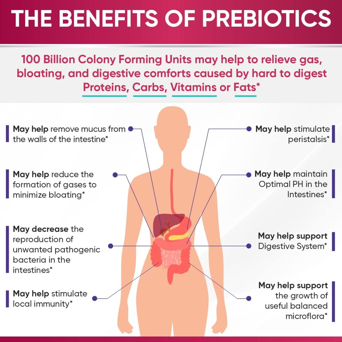 Dr. Formulated Raw Probiotics for Women 100 Billion Cfus with Prebiotics, Digestive Enzymes, Approved Women'S Probiotic for Adults, Shelf Stable Probiotic Supplement Capsules