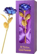 "Rainbow Rose Flower Gift Set: Perfect Mom Birthday & Christmas Present for Women - Ideal Gifts from Daughter, Son, and Grandchildren - Celebrate Mom, Wife, Grandma, and Anniversary with this Special Gift for Her!"