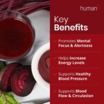 Humann Superbeets Energy plus with Grape Seed Extract - Includes Beet Root Powder, Green Tea Extract, Caffeine, Vitamin C - Non-Gmo Superfood Supplement - 5.87Oz