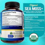 Organic Irish Sea Moss 1600Mg, 120 Capsules plus Bladderwrack & Burdock - Prebiotic Super Food - Immune System & Digestive Health - Thyroid, Healthy Skin, Keto Detox, Gut, Joint Support