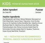 BLUE LIZARD Mineral Sunscreen Stick with Zinc Oxide SPF 50+ Water Resistant UVA/UVB Protection Easy to Apply Fragrance Free, Kids, Unscented, 0.5 Oz