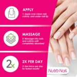 5 to 7 Day Growth Treatment - Fast Keratin Nail Hardener & Nail Strengthener for Thin Nails, Brittle & Damaged (0.47 Fl Oz)