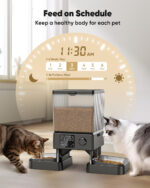 Automatic Cat Feeder for Two Cats, 20 Cups Capacity, Timed Dispenser for Dry Food, Ideal for Small Pets Indoor