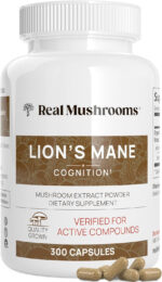 Lions Mane Mushroom Cognition Capsules (120 Capsules) Lions Mane Mushroom Powder Extract Capsules | Brain Supplement, Brain Vitamins, Focus Supplement