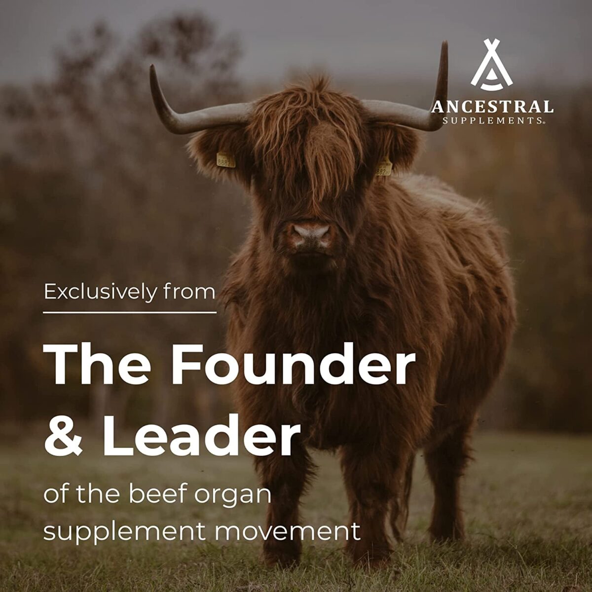 "Boost Your Energy, Detoxify, and Support Overall Well-being with Ancestral Supplements Grass-Fed Beef Liver Capsules! 🌿🐄💪 Non-GMO, Freeze-Dried Liver Health Supplement - 180 Count. Try it now!"