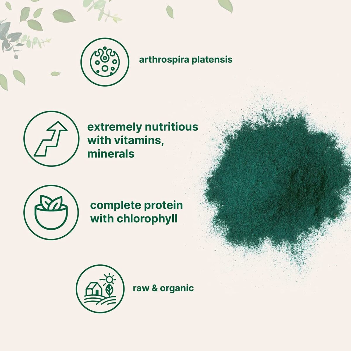 Micro Ingredients Organic Spirulina Powder, 16 Ounce, Raw Spirulina (Arthrospira Platensis), the Richest Sources of 70% Vegan Protein, Containers Minerals, Vitamins, Non-Gmo & Non-Irradiation