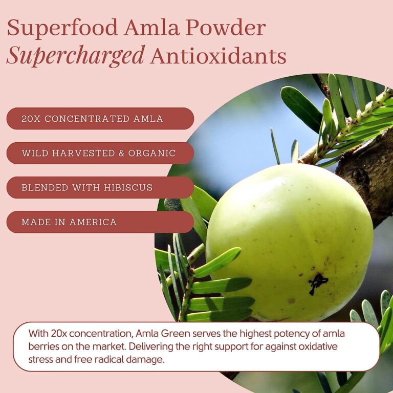 Amla Green Tea Superfood Powder Supplement, Daily Greens Antioxidant Blend with Organic Oolong Tea, 20X Concentrated Amla, Indian Gooseberries, Smooth Flavor, 30 Servings,