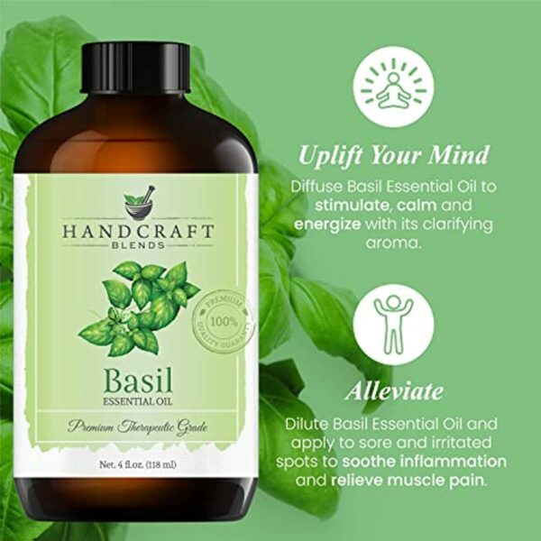 Handcraft Basil Essential Oil - 100 % Pure and Natural - Premium Therapeutic Grade with Premium Glass Dropper - Huge 4 fl. Oz