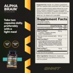 ONNIT Alpha Brain Nootropic Brain Supplement for Men & Women | Memory, Mental Clarity & Cognitive Improvement | Focus Capsules with L-Theanine, Vitamin B6 & Phosphatidylserine (90 Count)