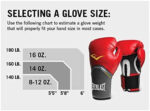 Everlast Pro Style Exercise Workout Training Boxing Gloves for Sparring, Heavy Bag and Mitt Work