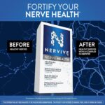 Nervive Nerve Health, with Alpha Lipoic Acid, to Fortify Nerve Health and Support Healthy Nerve Function in Fingers, Hands, Toes, & Feet*, ALA, Vitamins B12, B6, & B1, 30 Ct (Packaging May Vary)