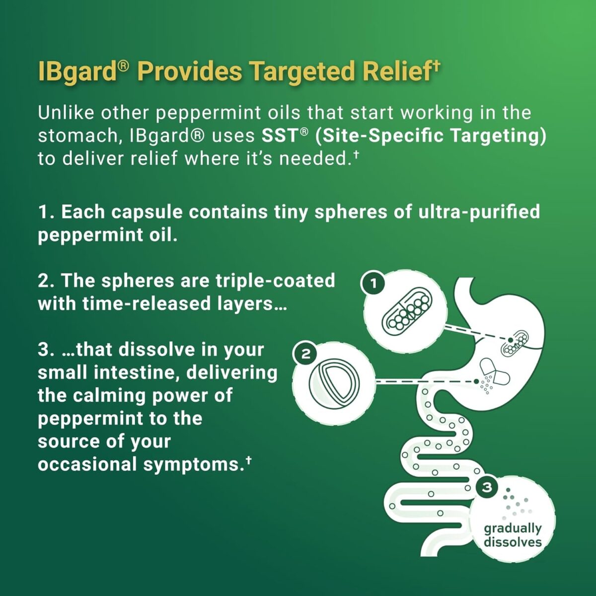 Ibgard with Vitamin D Daily Gut Health Support Supplement to Help Manage a Combination of Occasional Symptoms: Cramping, Bowel Urgency, Diarrhea, Constipation, Bloating, and Gas†, 48 Capsules