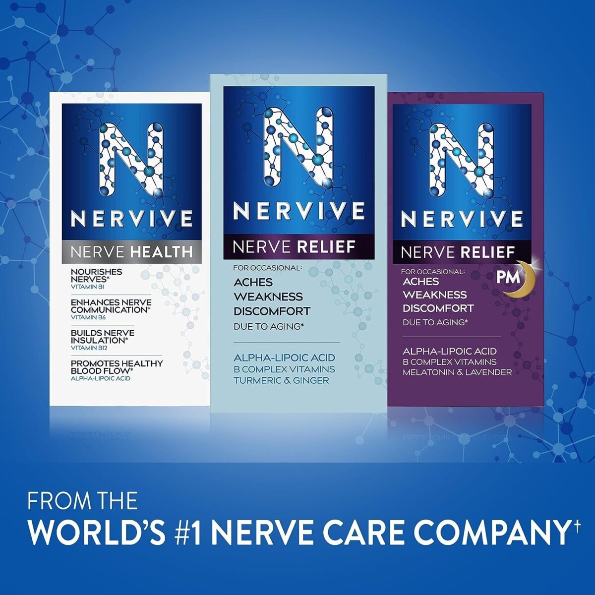 Nervive Nerve Health, with Alpha Lipoic Acid, to Fortify Nerve Health and Support Healthy Nerve Function in Fingers, Hands, Toes, & Feet*, ALA, Vitamins B12, B6, & B1, 30 Ct (Packaging May Vary)