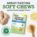 From the Makers of Dramamine, Advanced Herbals, Ginger Chews, Nausea Relief Soft Chews Lemon-Honey-Ginger, 20 Count