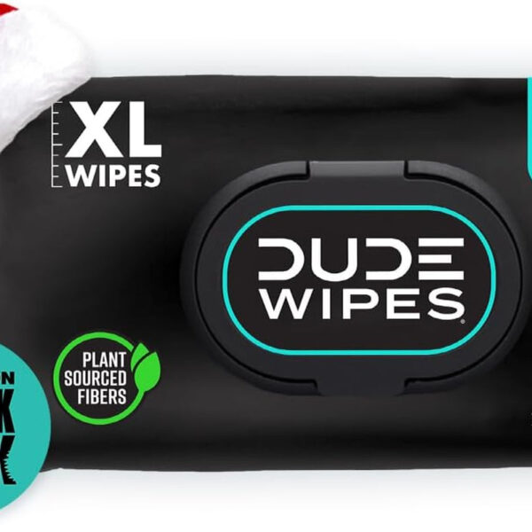 DUDE Wipes Flushable Wipes - 1 Pack, 48 Wipes - Mint Chill Extra-Large Wet Wipes with Eucalyptus & Tea Tree Oil - Sewer and Septic Safe