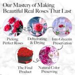 27-Piece Forever Flower Heart Shape Box - Preserved Roses, Immortal Roses for Her Eternal Rose Preserved Flowers for Delivery Prime Mothers Day & Valentines Day - Red