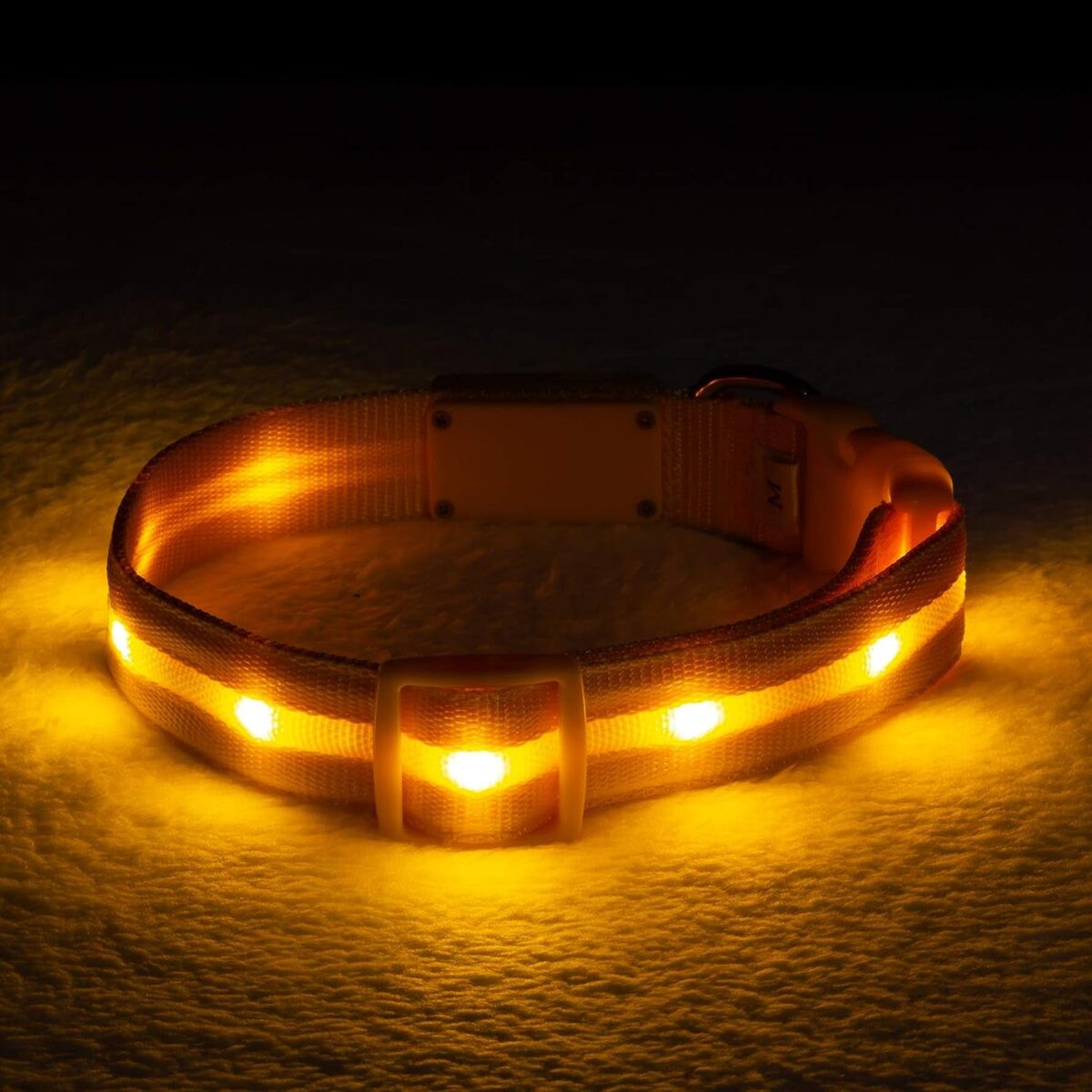 BLAZIN Brightest Light up Dog Collars - the Original LED Dog Collar with 1,000 Feet of Visibility - USB Rechargeable Waterproof Dog Collar Light - Dog Lights for Night Walking - USA Brand