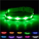 BLAZIN Brightest Light up Dog Collars - the Original LED Dog Collar with 1,000 Feet of Visibility - USB Rechargeable Waterproof Dog Collar Light - Dog Lights for Night Walking - USA Brand