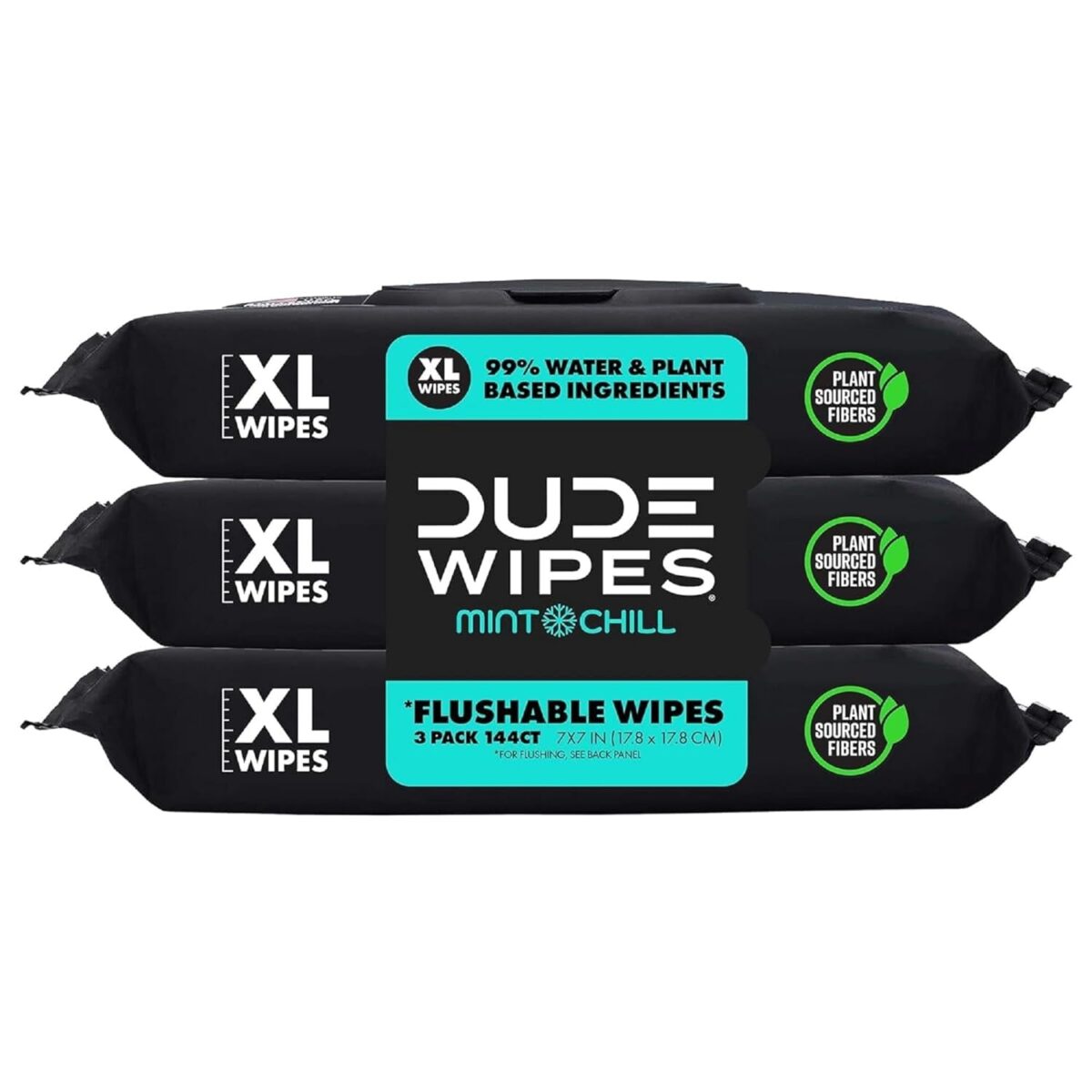 DUDE Wipes - Flushable Wipes for Adults - 6 Pack, 288 Wipes - Odor Destroyer XL Adult Wet Wipes - Deodorizing with Clean Scent - up to 24 Hours of Odor-Destroying Technology