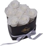 27-Piece Forever Flower Heart Shape Box - Preserved Roses, Immortal Roses for Her Eternal Rose Preserved Flowers for Delivery Prime Mothers Day & Valentines Day - Red