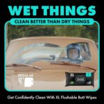 DUDE Wipes Flushable Wipes - 1 Pack, 48 Wipes - Mint Chill Extra-Large Wet Wipes with Eucalyptus & Tea Tree Oil - Sewer and Septic Safe