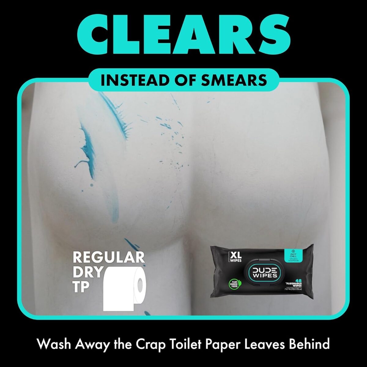 DUDE Wipes Flushable Wipes - 1 Pack, 48 Wipes - Mint Chill Extra-Large Wet Wipes with Eucalyptus & Tea Tree Oil - Sewer and Septic Safe