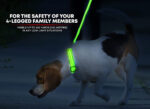 ILLUMISEEN LED Dog Collar USB Rechargeable - Bright & High Visibility Lighted Glow Collar for Pet Night Walking - Weatherproof, in 6 Colors & 6 Sizes (Green Medium)